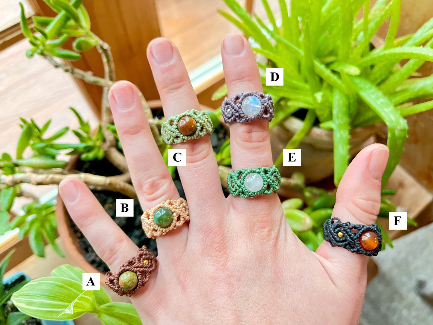 Sorceress Rings