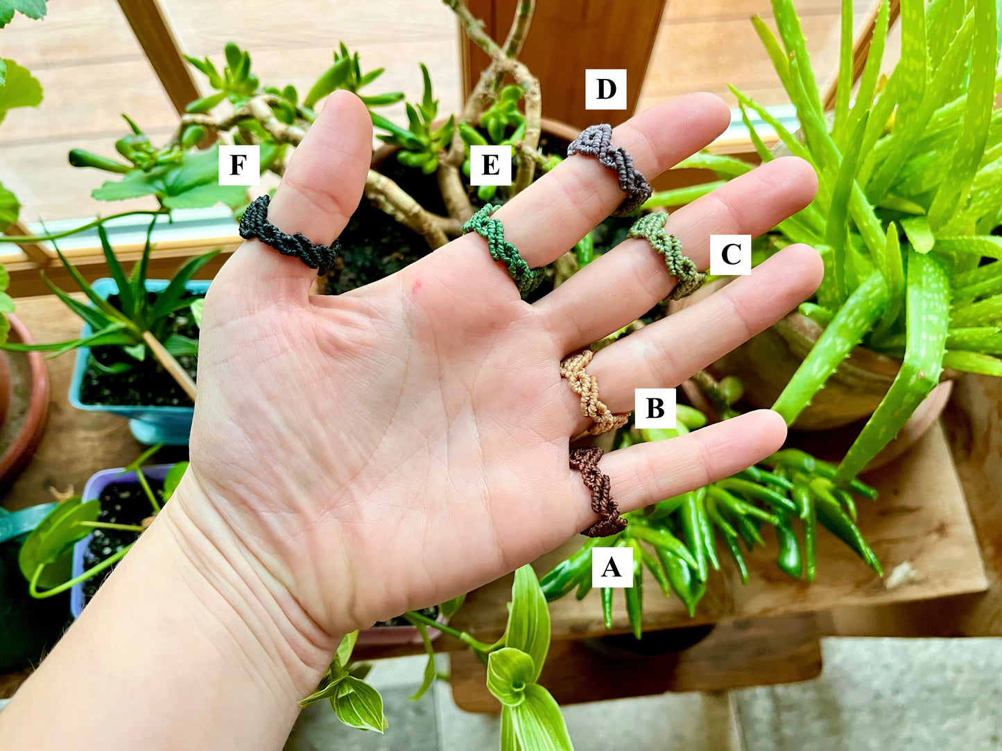 Sorceress Rings